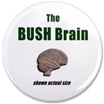 BUSH Brain