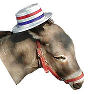 patriotic donkey picture